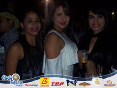 Festa do Bezerro Manhoso