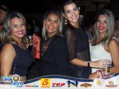 Festa do Bezerro Manhoso