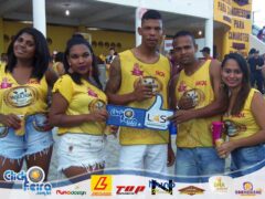 Festa da Vaca Atolada