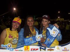 Festa da Vaca Atolada