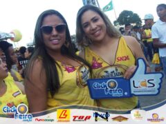 Festa da Vaca Atolada