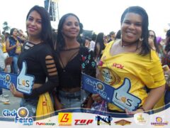 Festa da Vaca Atolada