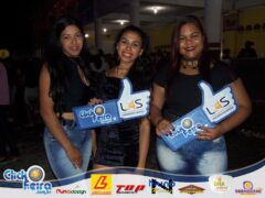 Festa do Boi Malandro