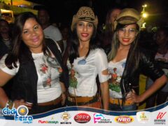 Bezerro Manhoso