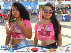 Vaca Atolada