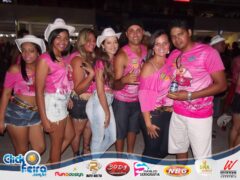 Vaca Atolada