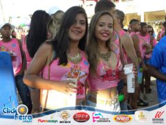Vaca Atolada