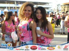 Vaca Atolada