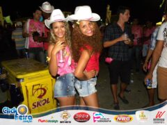Vaca Atolada