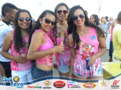 Vaca Atolada