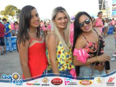 Vaca Atolada