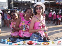 Vaca Atolada