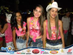 Vaca Atolada