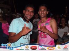 Vaca Atolada