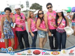 Vaca Atolada