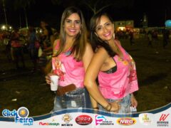 Vaca Atolada