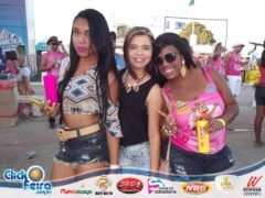 Vaca Atolada