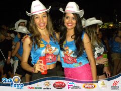 Vaca Atolada