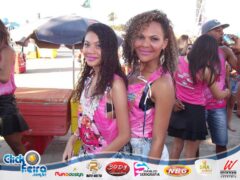 Vaca Atolada