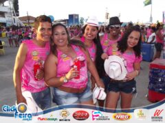 Vaca Atolada