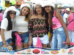 Vaca Atolada