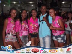 Vaca Atolada
