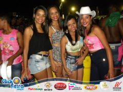 Vaca Atolada