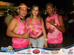 Vaca Atolada