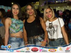 Vaca Atolada