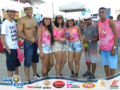 Vaca Atolada