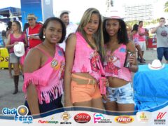Vaca Atolada