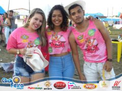 Vaca Atolada