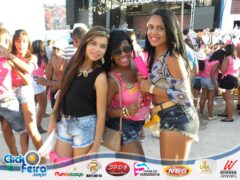 Vaca Atolada