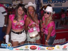 Vaca Atolada