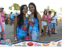 Vaca Atolada