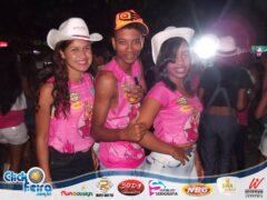 Vaca Atolada