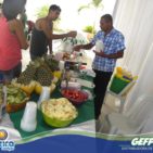 GEFPEL Fest