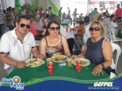 GEFPEL Fest