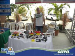 GEFPEL Fest