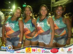 Bloco dos Amigos