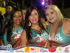Bloco dos Amigos
