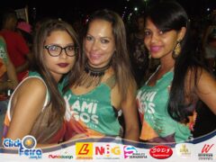Bloco dos Amigos