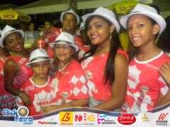 Unidos pelo Samba