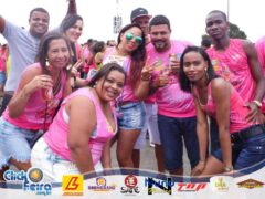 Vaca Atolada 