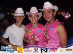Vaca Atolada 