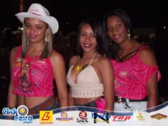 Vaca Atolada 