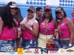 Vaca Atolada 