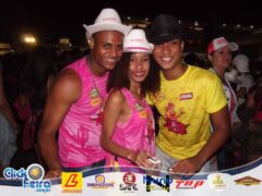 Vaca Atolada 