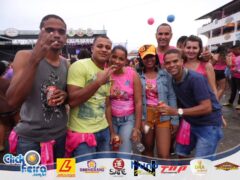 Vaca Atolada 