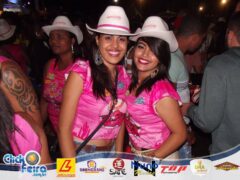 Vaca Atolada 